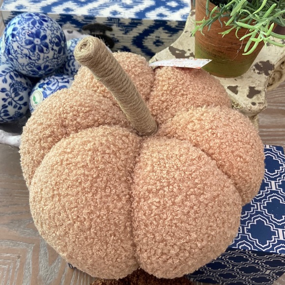 NEW! Fall Harvest FARMHOUSE Cottage Sherpa Peach & Cream Autumn Pumpkin Pillow - Picture 11 of 11